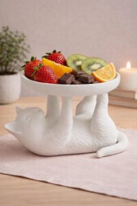aperitiefschotel kat op haar rug